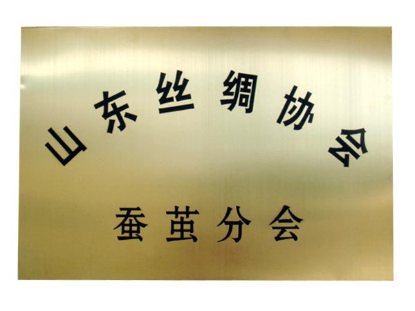 山東絲綢協(xié)會(huì )蠶繭分會(huì )