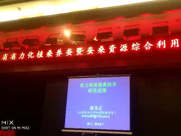 全省省力化植桑養蠶暨桑資源綜合利用技術(shù)培順班隆重舉辦